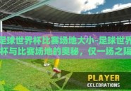 足球世界杯比赛场地大小-足球世界杯与比赛场地的奥秘，仅一场之隔的奇妙世界