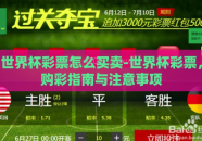 世界杯彩票怎么买卖-世界杯彩票，购彩指南与注意事项