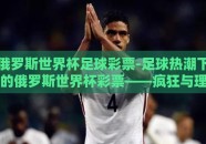 俄罗斯世界杯足球彩票-足球热潮下的俄罗斯世界杯彩票——疯狂与理性的交织
