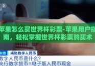 苹果怎么买世界杯彩票-苹果用户指南，轻松掌握世界杯彩票购买术