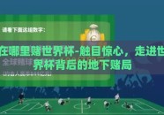 在哪里赌世界杯-触目惊心，走进世界杯背后的地下赌局