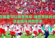 在哪里可以赌世界杯-赌世界杯的合法渠道与风险警示