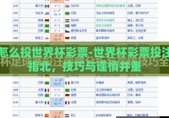 怎么投世界杯彩票-世界杯彩票投注指北，技巧与谨慎并重