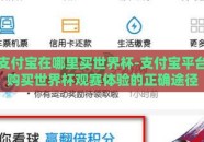 支付宝在哪里买世界杯-支付宝平台购买世界杯观赛体验的正确途径