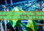 在哪里可以赌世界杯-揭秘，观战世界杯的最佳娱乐之地，赛事与乐趣同行