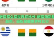微信怎么买世界杯比分-微信购彩新趋势，轻松掌握世界杯比分