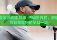 法国世界杯 彩票-法国世界杯，激情与彩票交织的梦幻一夏