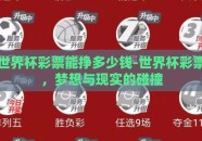 世界杯彩票能挣多少钱-世界杯彩票，梦想与现实的碰撞