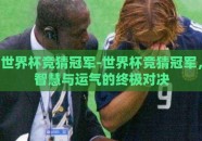 世界杯竞猜冠军-世界杯竞猜冠军，智慧与运气的终极对决