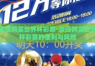 微信购买世界杯彩票-微信购买世界杯彩票的便利与风险