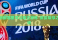 微信哪里可以赌世界杯-微信赌球之谜