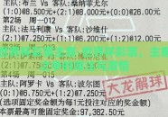 世界杯彩票主客-世界杯彩票，主客之争的赌注与激情