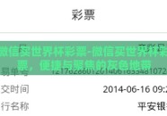 微信买世界杯彩票-微信买世界杯彩票，便捷与聚焦的灰色地带