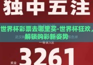 世界杯彩票去哪里买-世界杯狂欢，解锁购彩新姿势