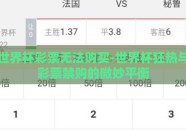 世界杯彩票无法购买-世界杯狂热与彩票禁购的微妙平衡
