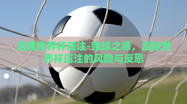 足球世界杯压注-赌球之惑,足球世界杯压注的风险与反思 足球世界杯压注-赌球之惑,足球世界杯压注的风险与反思
