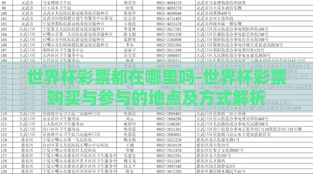 世界杯彩票都在哪里吗-世界杯彩票购买与参与的地点及方式解析 世界杯彩票都在哪里吗-世界杯彩票购买与参与的地点及方式解析