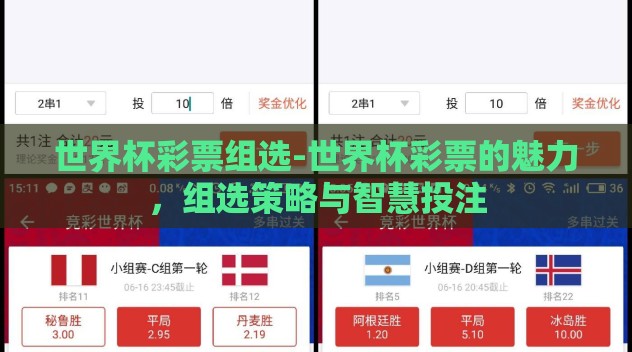 世界杯彩票组选-世界杯彩票的魅力,组选策略与智慧投注 世界杯彩票组选-世界杯彩票的魅力,组选策略与智慧投注