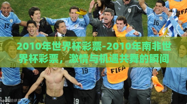 2010年世界杯彩票-2010年南非世界杯彩票，激情与机遇共舞的瞬间