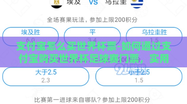 支付宝怎么买世界杯票-如何通过支付宝购买世界杯足球赛门票，实用指南