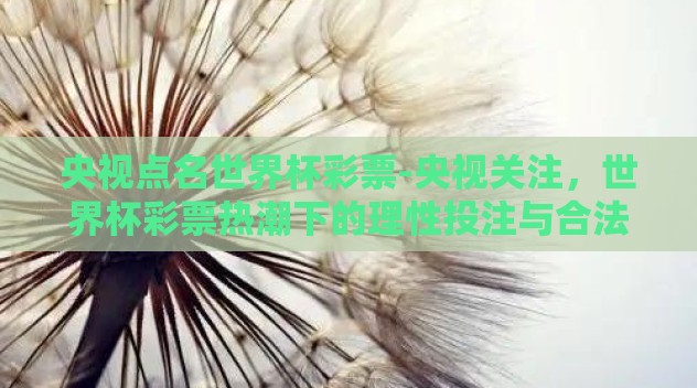 央视点名世界杯彩票-央视关注,世界杯彩票热潮下的理性投注与合法合规 央视点名世界杯彩票-央视关注,世界杯彩票热潮下的理性投注与合法合规