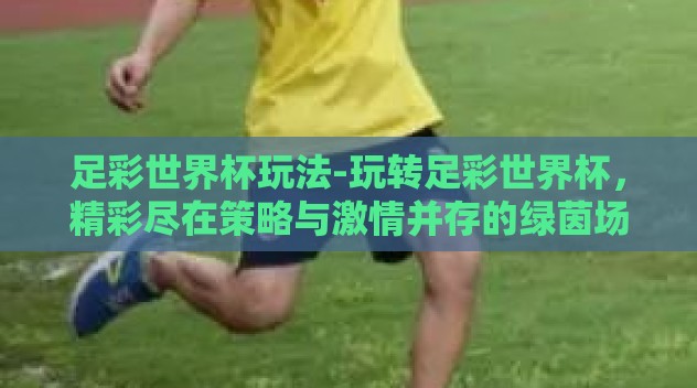 足彩世界杯玩法-玩转足彩世界杯,精彩尽在策略与激情并存的绿茵场 足彩世界杯玩法-玩转足彩世界杯,精彩尽在策略与激情并存的绿茵场