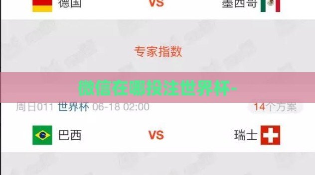 微信在哪投注世界杯- 微信在哪投注世界杯-