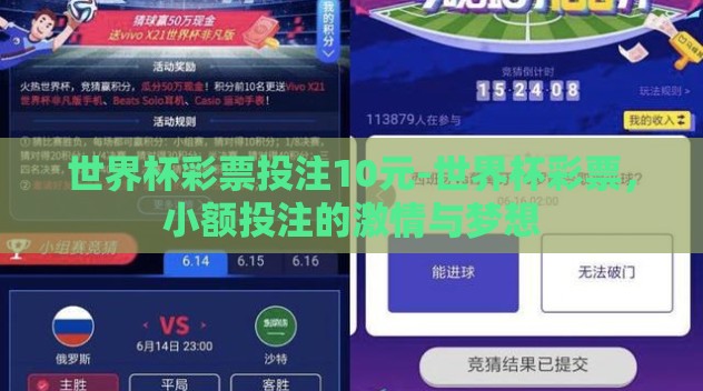 世界杯彩票投注10元-世界杯彩票,小额投注的激情与梦想 世界杯彩票投注10元-世界杯彩票,小额投注的激情与梦想