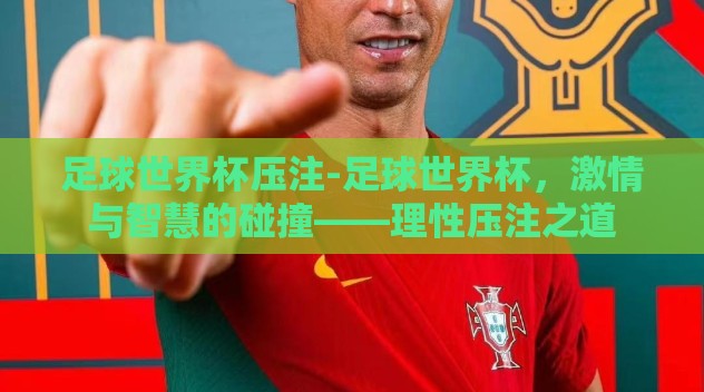 足球世界杯压注-足球世界杯，激情与智慧的碰撞——理性压注之道