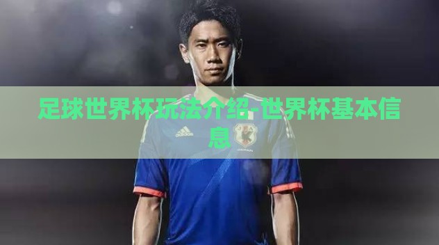足球世界杯玩法介绍-世界杯基本信息 足球世界杯玩法介绍-世界杯基本信息
