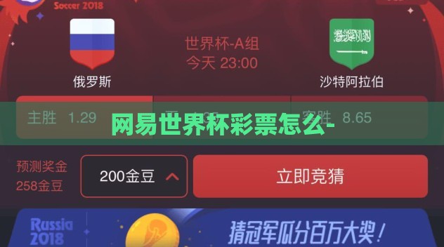 网易世界杯彩票怎么-