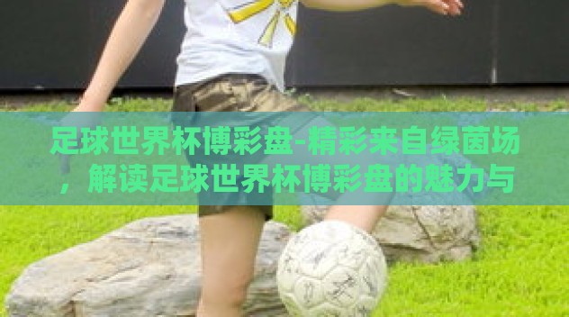 足球世界杯博彩盘-精彩来自绿茵场，解读足球世界杯博彩盘的魅力与风险