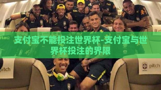 支付宝不能投注世界杯-支付宝与世界杯投注的界限 支付宝不能投注世界杯-支付宝与世界杯投注的界限