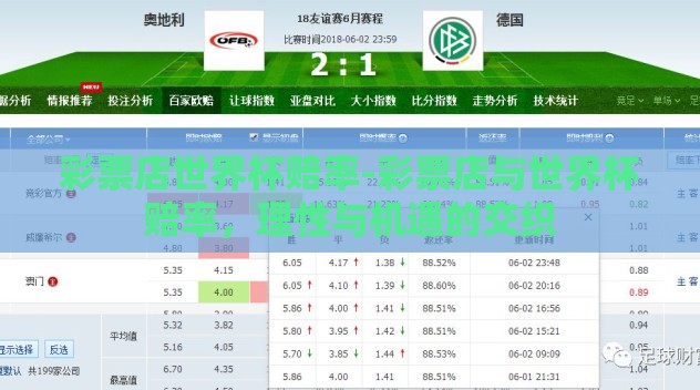 彩票店世界杯赔率-彩票店与世界杯赔率，理性与机遇的交织