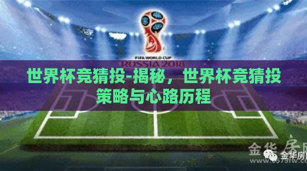 世界杯竞猜投-揭秘，世界杯竞猜投策略与心路历程