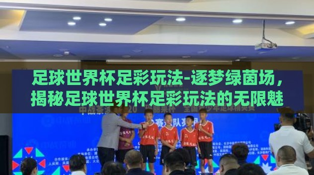 足球世界杯足彩玩法-逐梦绿茵场，揭秘足球世界杯足彩玩法的无限魅力