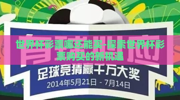 世界杯彩票哪还能买-探索世界杯彩票购买的新机遇