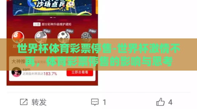 世界杯体育彩票停售-世界杯激情不再,体育彩票停售的影响与思考 世界杯体育彩票停售-世界杯激情不再,体育彩票停售的影响与思考