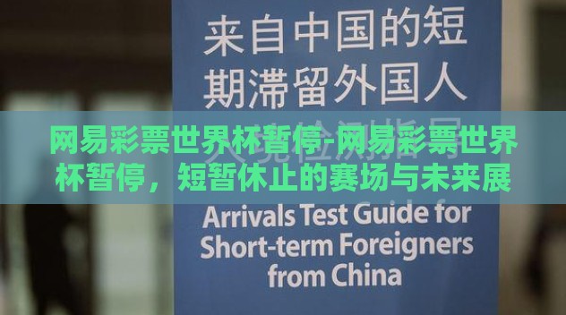 网易彩票世界杯暂停-网易彩票世界杯暂停，短暂休止的赛场与未来展望