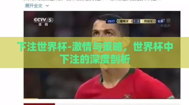 下注世界杯-激情与策略,世界杯中下注的深度剖析 下注世界杯-激情与策略,世界杯中下注的深度剖析