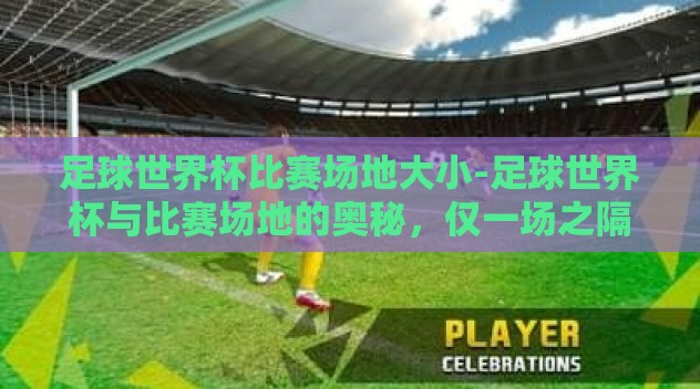 足球世界杯比赛场地大小-足球世界杯与比赛场地的奥秘，仅一场之隔的奇妙世界
