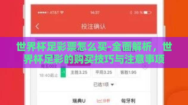 世界杯足彩票怎么买-全面解析，世界杯足彩的购买技巧与注意事项