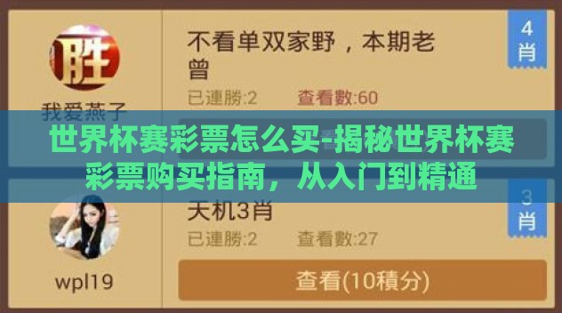 世界杯赛彩票怎么买-揭秘世界杯赛彩票购买指南，从入门到精通