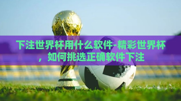 下注世界杯用什么软件-精彩世界杯，如何挑选正确软件下注