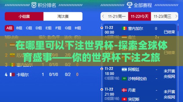 在哪里可以下注世界杯-探索全球体育盛事——你的世界杯下注之旅