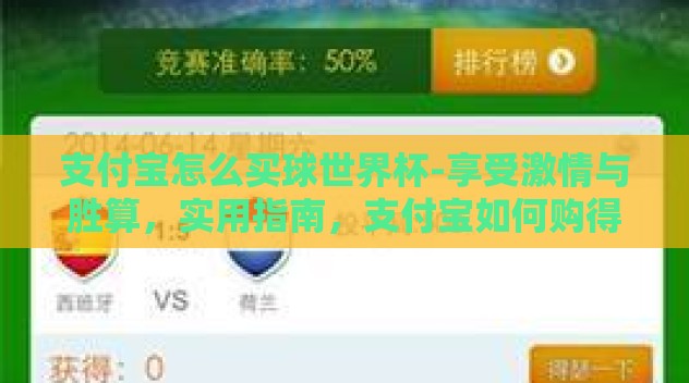 支付宝怎么买球世界杯-享受激情与胜算，实用指南，支付宝如何购得世界杯球赛的观赛机会