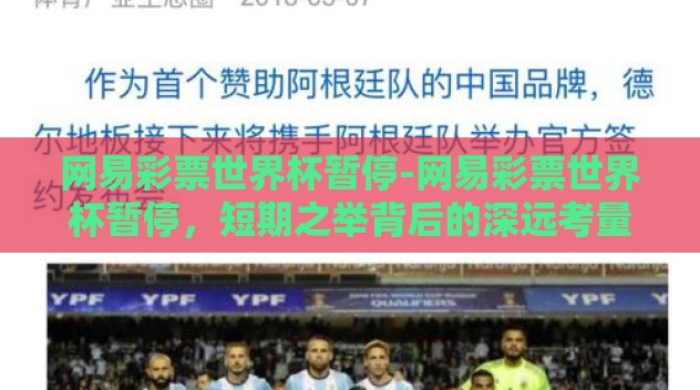 网易彩票世界杯暂停-网易彩票世界杯暂停，短期之举背后的深远考量