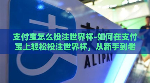 支付宝怎么投注世界杯-如何在支付宝上轻松投注世界杯，从新手到老鸟的360度指南