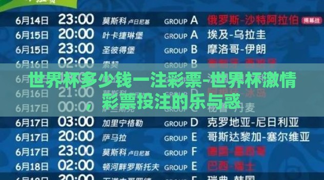 世界杯多少钱一注彩票-世界杯激情，彩票投注的乐与惑