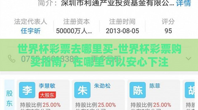 世界杯彩票去哪里买-世界杯彩票购买指南，在哪里可以安心下注